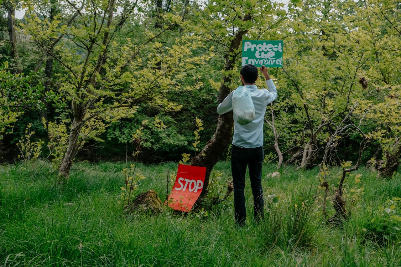 Services A man places a 'Protect the Environment' sign in a lush green forest.
